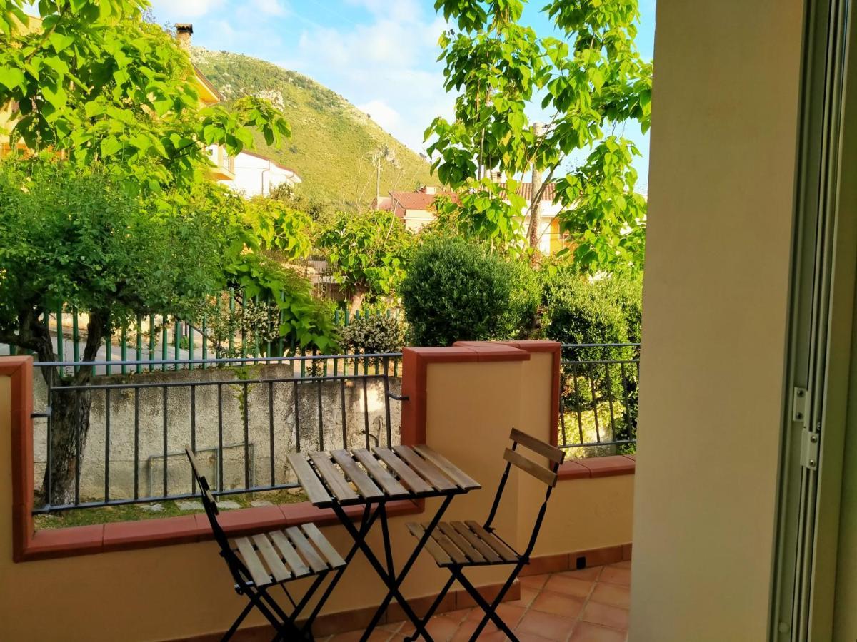 B&B Villa Degli Ulivi Praia a Mare Exterior foto